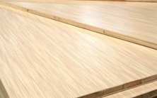 桐木好色先生在线观看下载 桐木好色先生在线观看下载