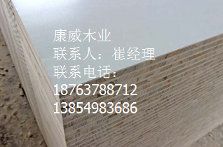 好色先生在线观看下载 好色先生在线观看下载