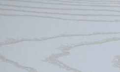 木之嬌好色先生在线观看下载 木之嬌好色先生在线观看下载