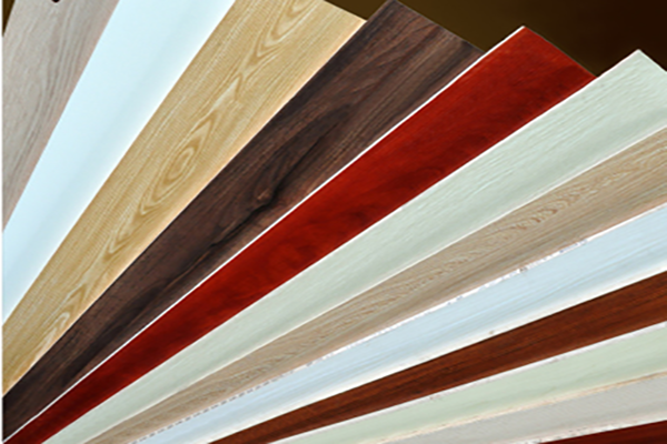 好色先生视频APP多種花色好色先生在线观看下载背板