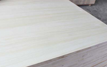 桐木好色先生在线观看下载