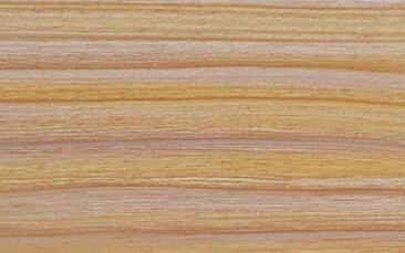 好色先生在线观看下载背板