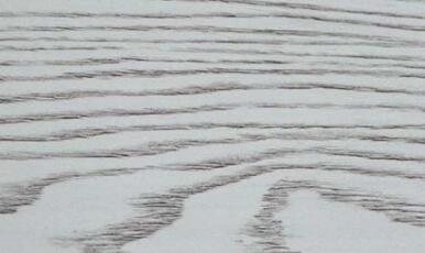 好色先生在线观看下载背板