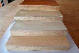 桐木好色先生在线观看下载 桐木好色先生在线观看下载