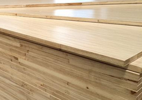 桐木好色先生在线观看下载 桐木好色先生在线观看下载