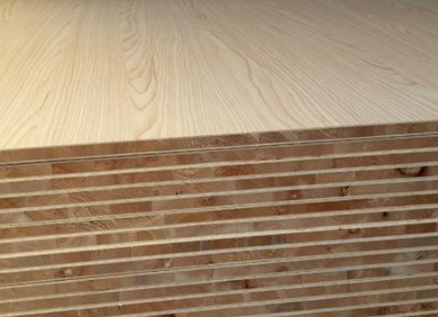 桐木好色先生在线观看下载