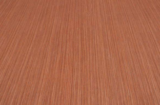 桐木好色先生在线观看下载 桐木好色先生在线观看下载