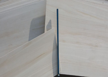 桐木好色先生在线观看下载