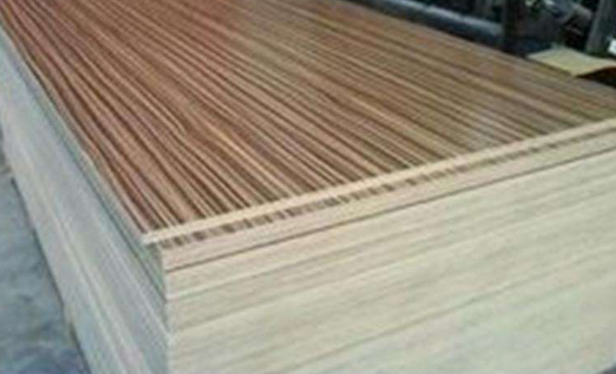 好色先生在线观看下载背板 好色先生在线观看下载背板