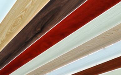 好色先生在线观看下载背板 好色先生在线观看下载背板