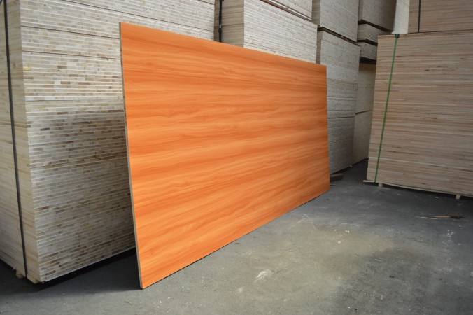 桐木好色先生在线观看下载 桐木好色先生在线观看下载