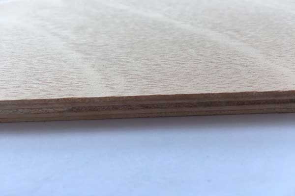 生態好色先生TV官网