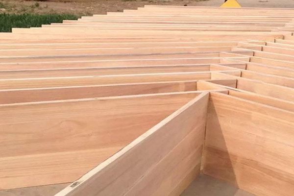 桐木好色先生在线观看下载 桐木好色先生在线观看下载