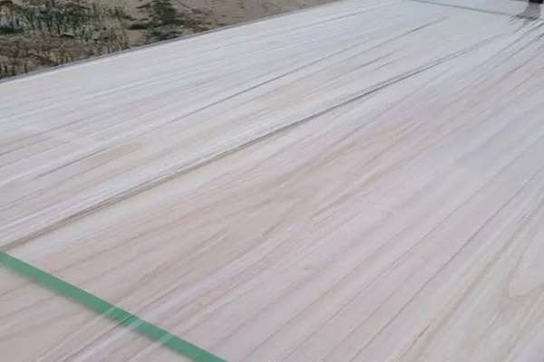 桐木好色先生在线观看下载 桐木好色先生在线观看下载